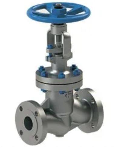 Bellow-Sealed Globe Valves — Navjivan Valves