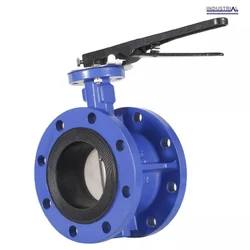 Double-Flanged Butterfly Valves — Navjivan Valves
