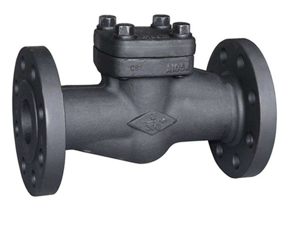 Forged Steel Check Valves — Navjivan Valves