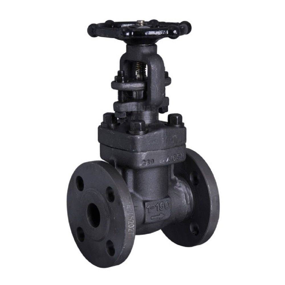 Forged Steel Gate Valves — Navjivan Valves