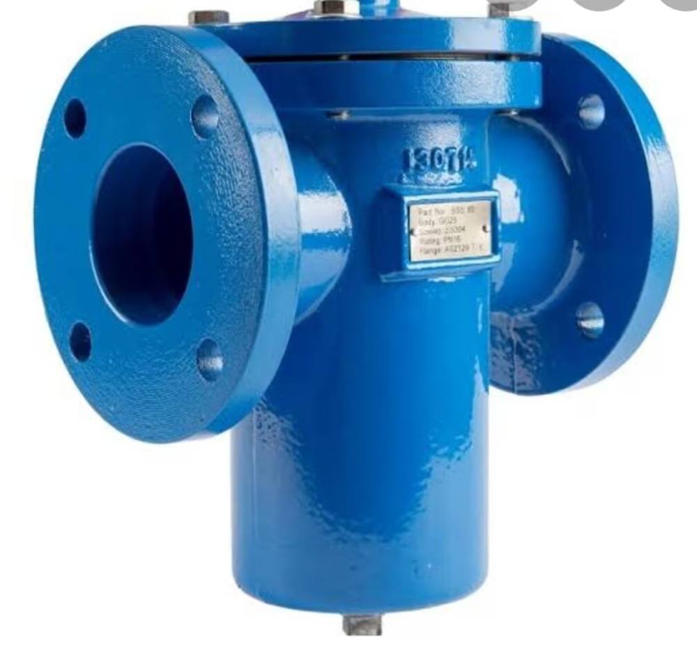 Strainers supplied by Navjivan Valves
