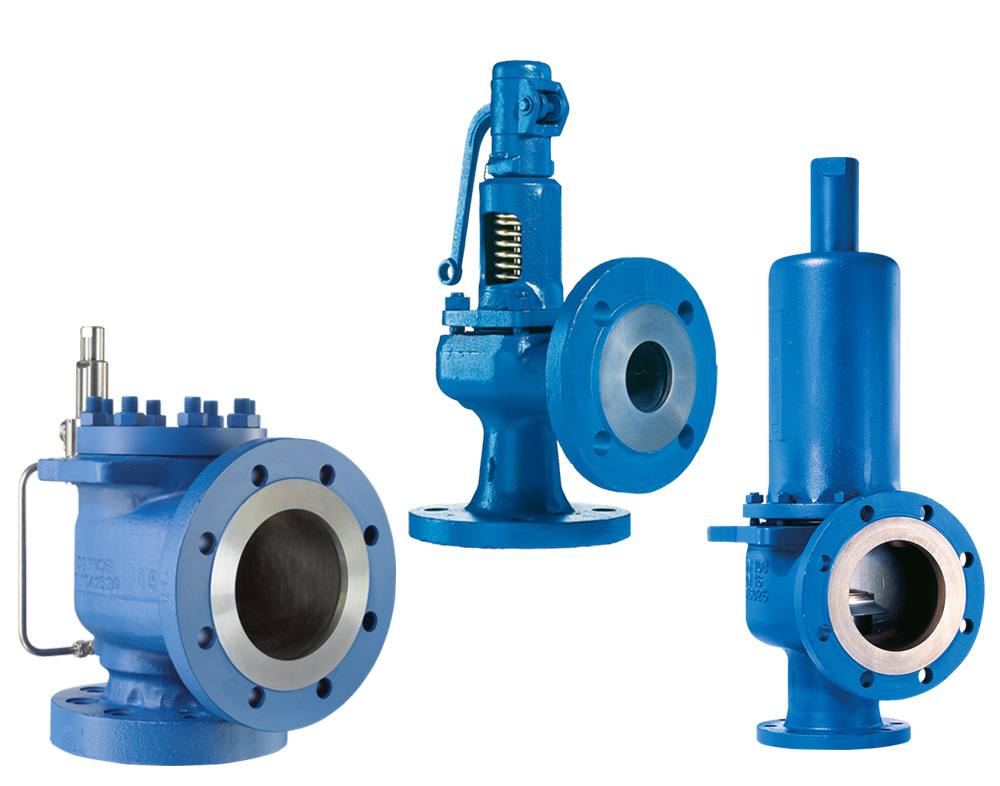Spring-Loaded Safety Valves — Navjivan Valves